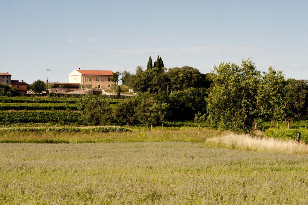 Agriturismo Panorama 살리온제 외부 사진
