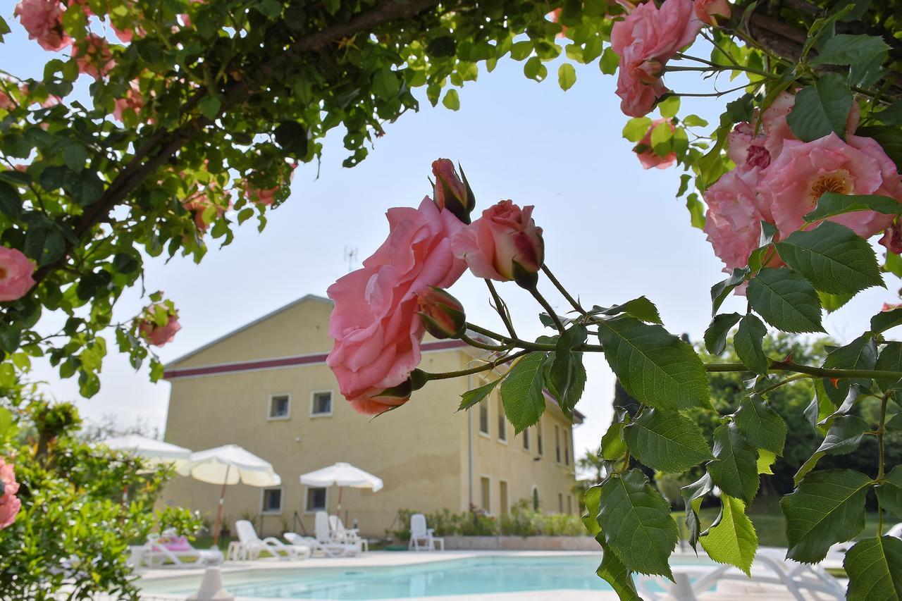 Agriturismo Panorama 살리온제 외부 사진
